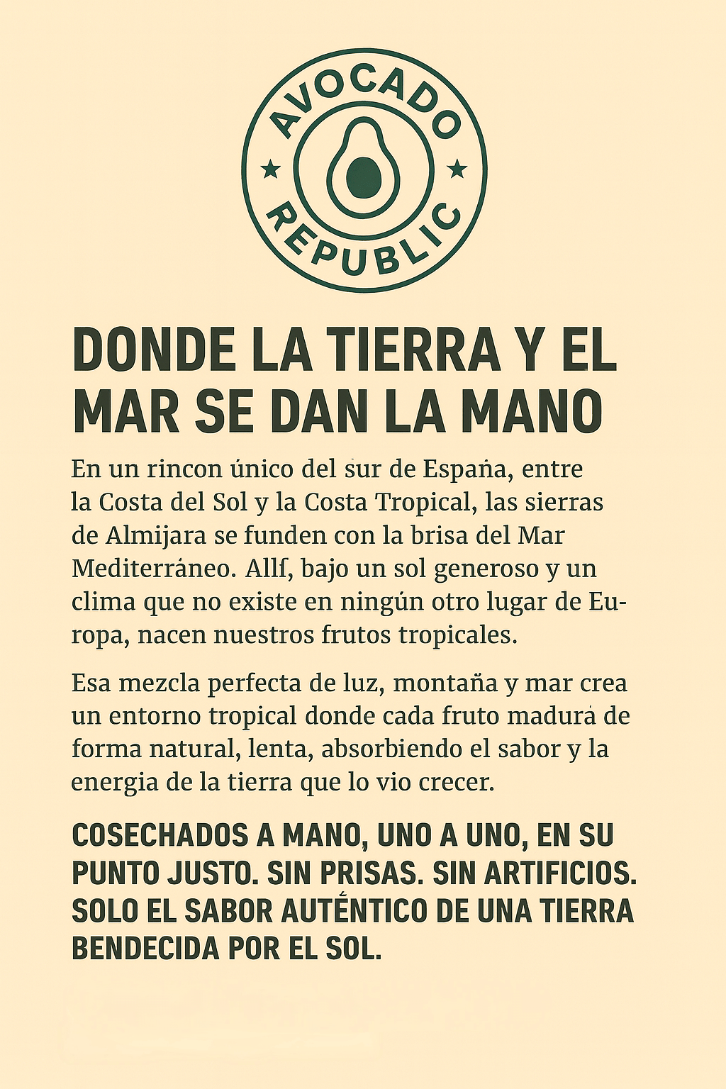 Aguacates hass - avocado republic