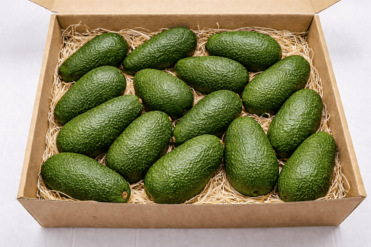 Aguacates hass - avocado republic