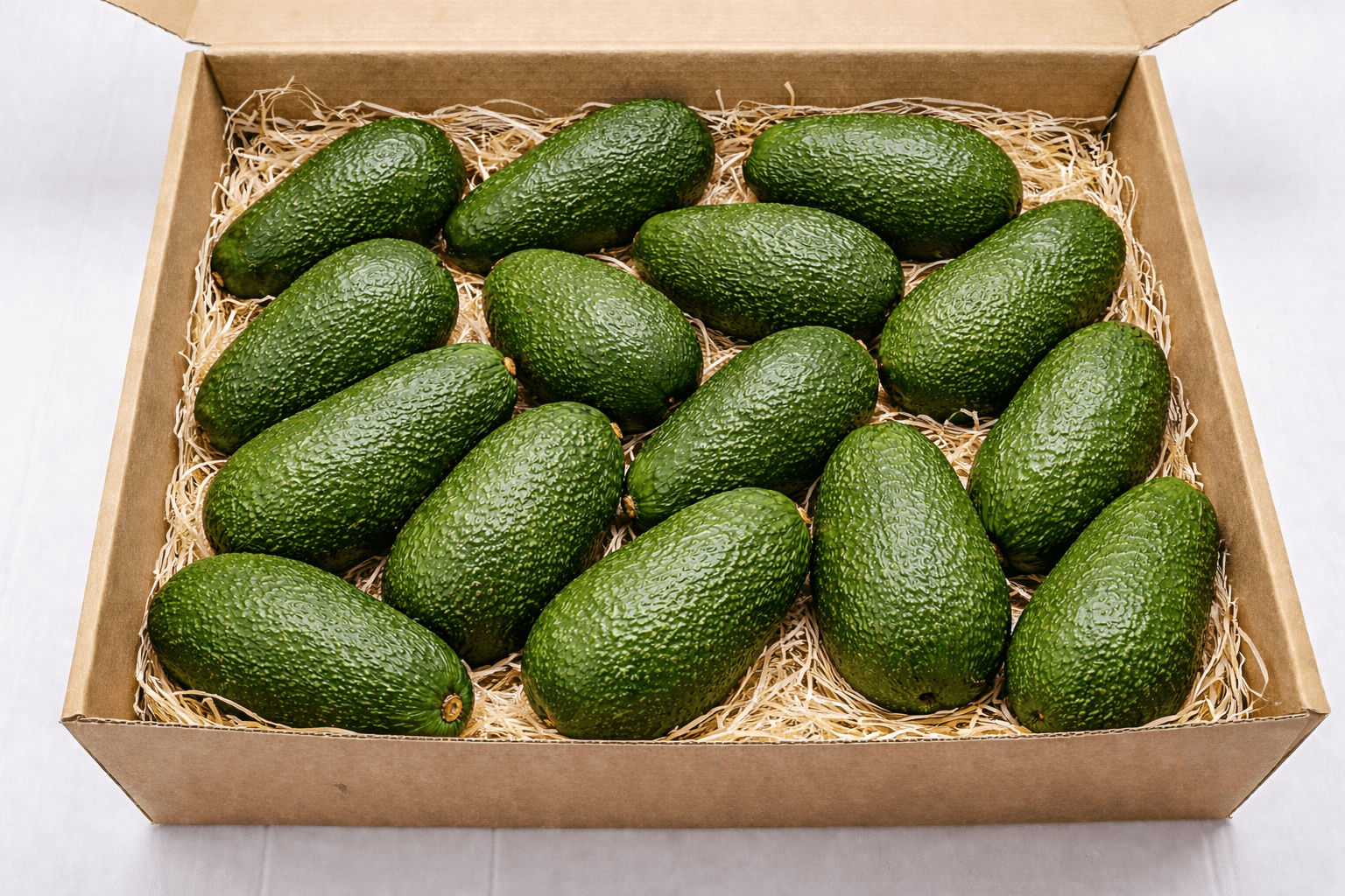 Aguacates hass - avocado republic